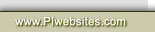 Professional, affordable web site design for Investigators